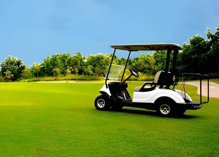 Entretien golfette électrique Aube